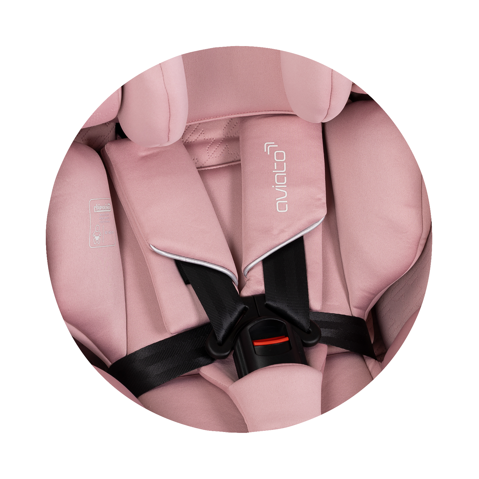 Chipolino I-SIZE 40-150 cm 