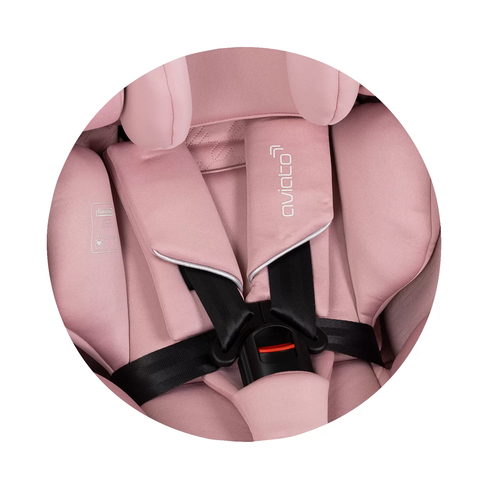 Chipolino I-SIZE 40-150 cm 