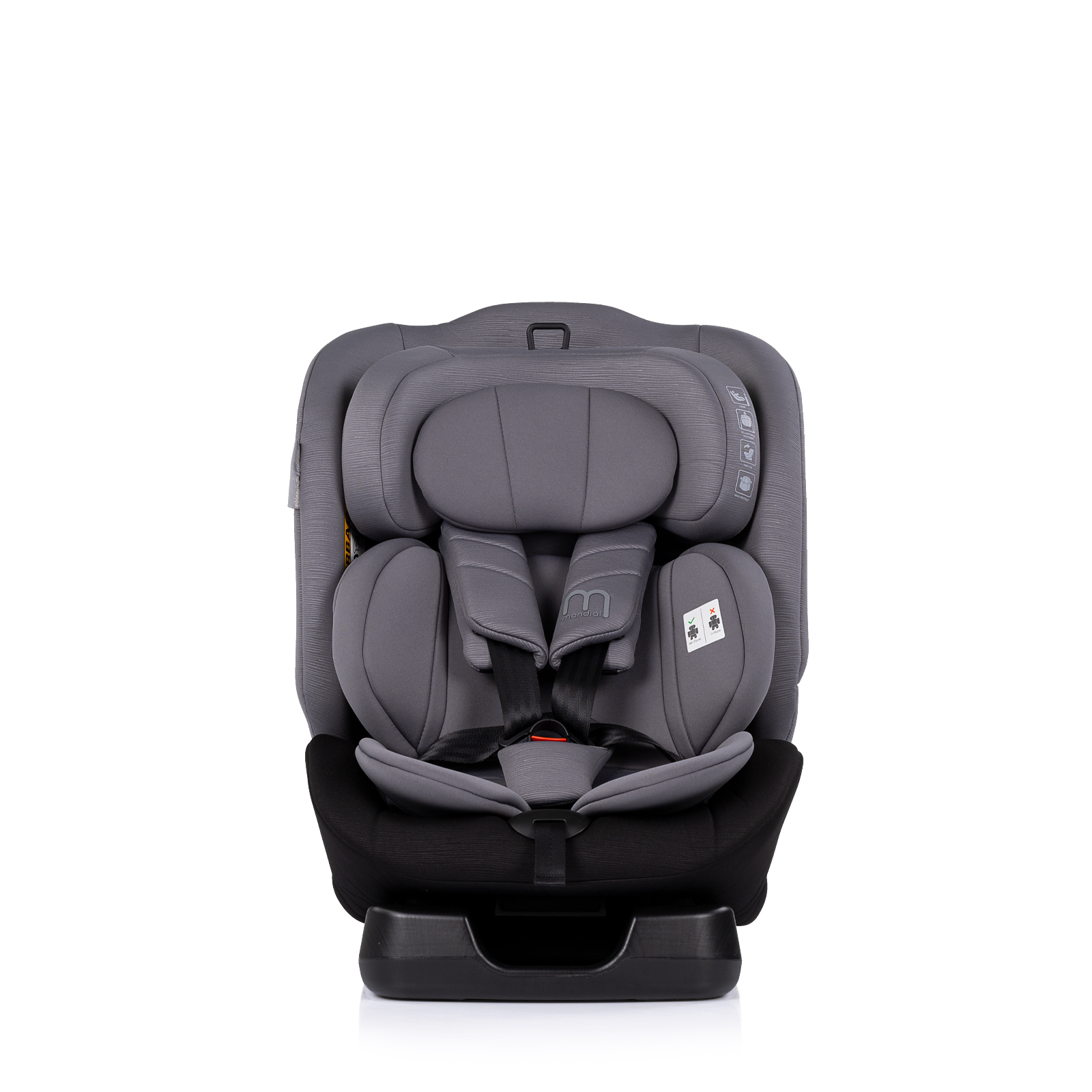 Chipolino I-SIZE 40-150 cm 