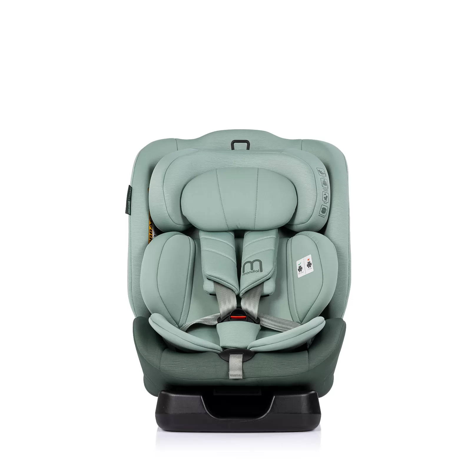 Chipolino I-SIZE 40-150 cm 