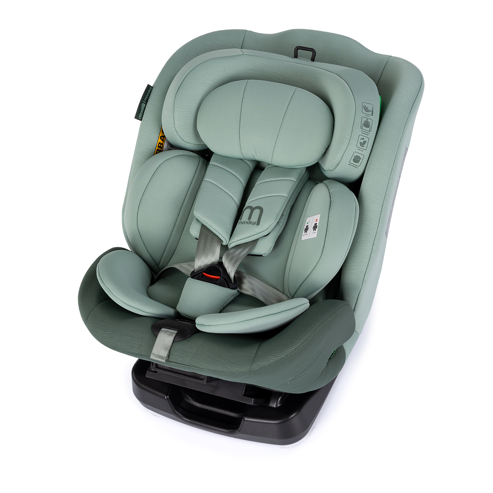 Chipolino I-SIZE 40-150 cm 
