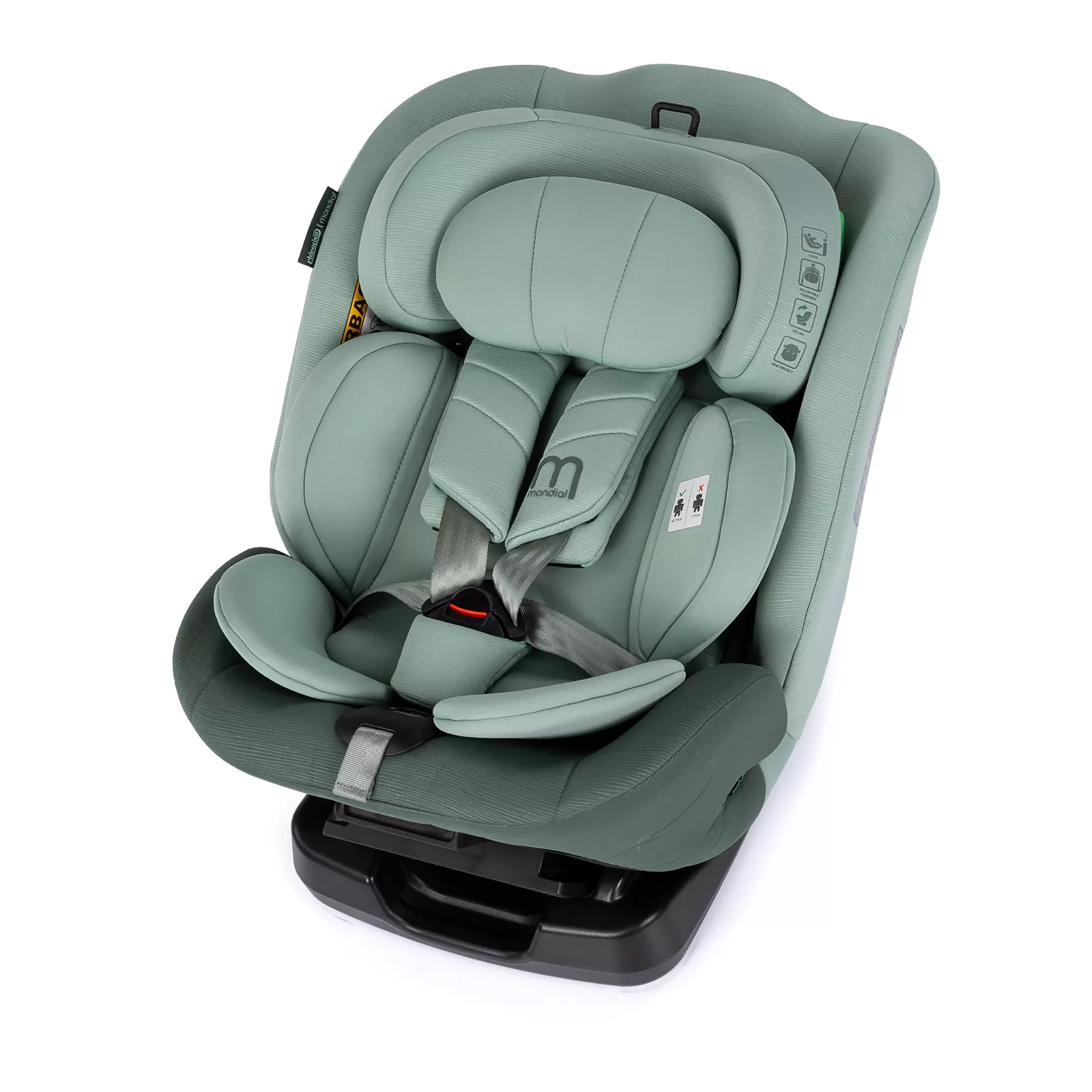 Chipolino I-SIZE 40-150 cm 
