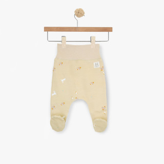 Set za iznošenje Friends 6/1 