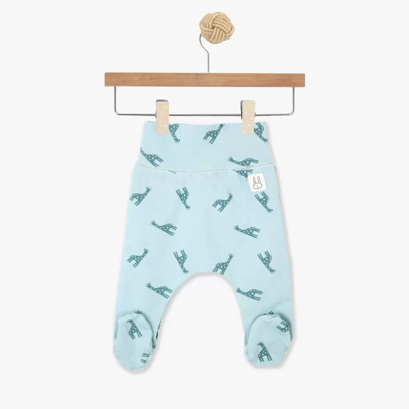 Set za iznošenje Jungle Family Bluev 4/1 